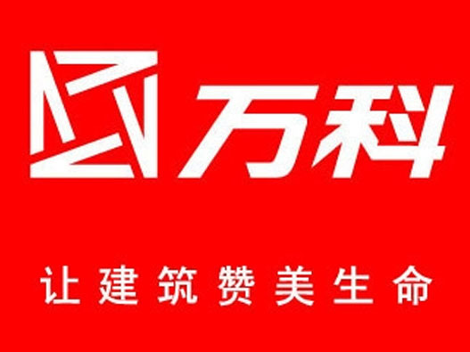 V字logo设计理念