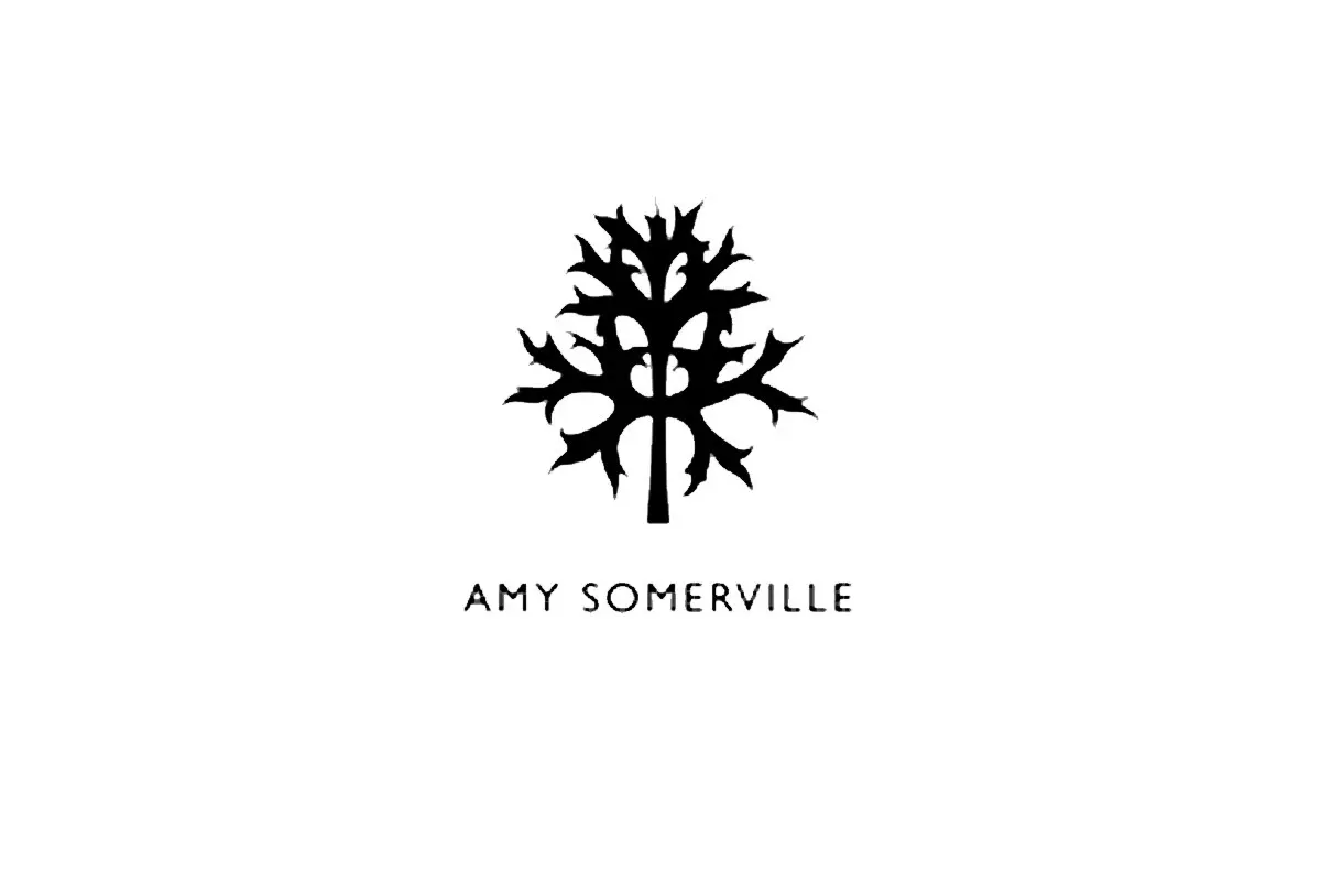 Amy Somerville艾米萨默维尔品牌LOGO设计案例-家具行业标志
