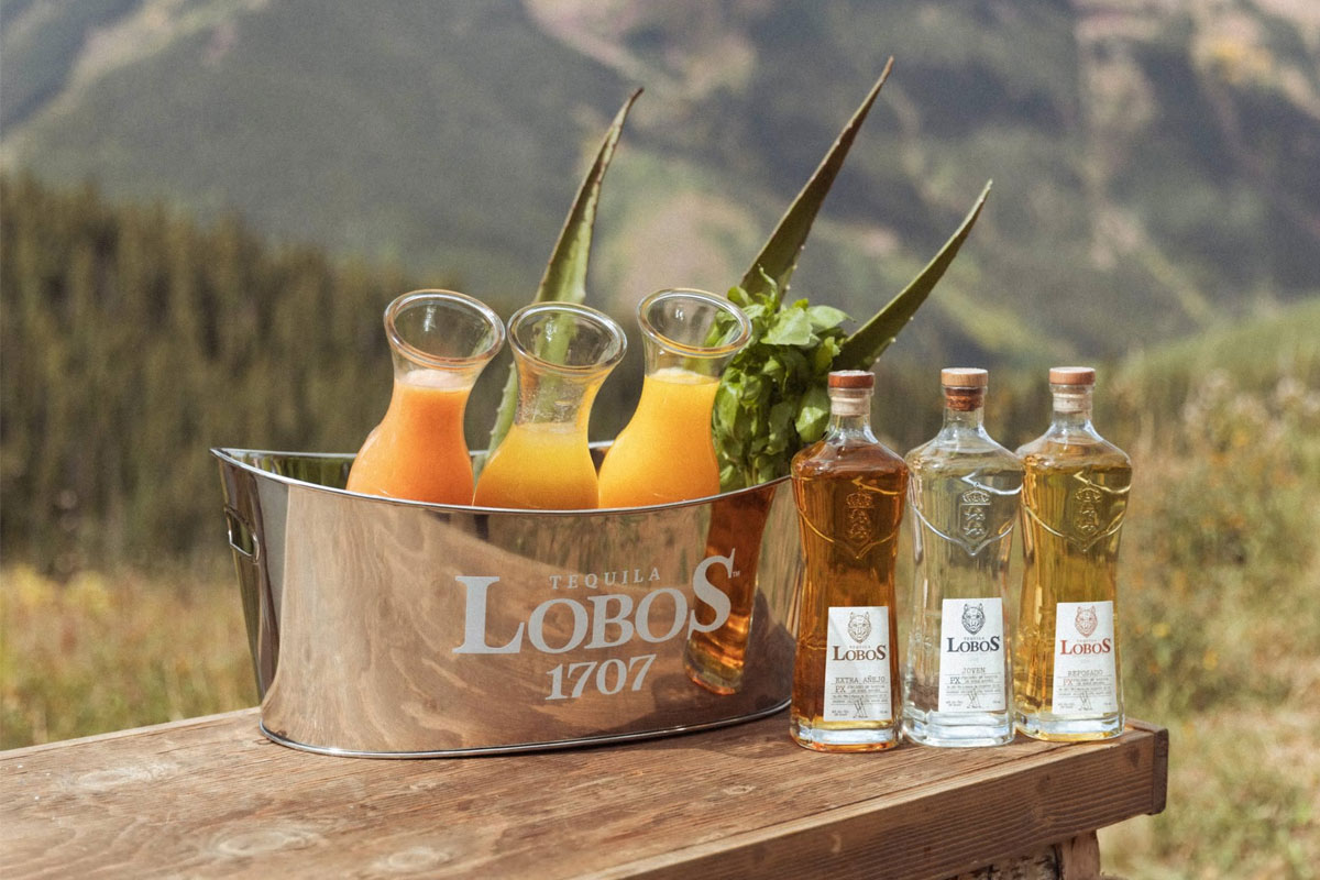 Lobos 1707标志设计含义及龙舌兰品牌设计理念