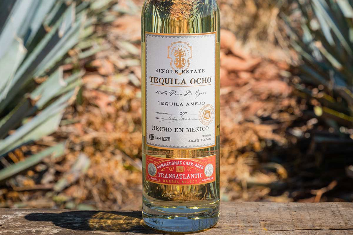Tequila Ocho标志设计含义及龙舌兰品牌设计理念