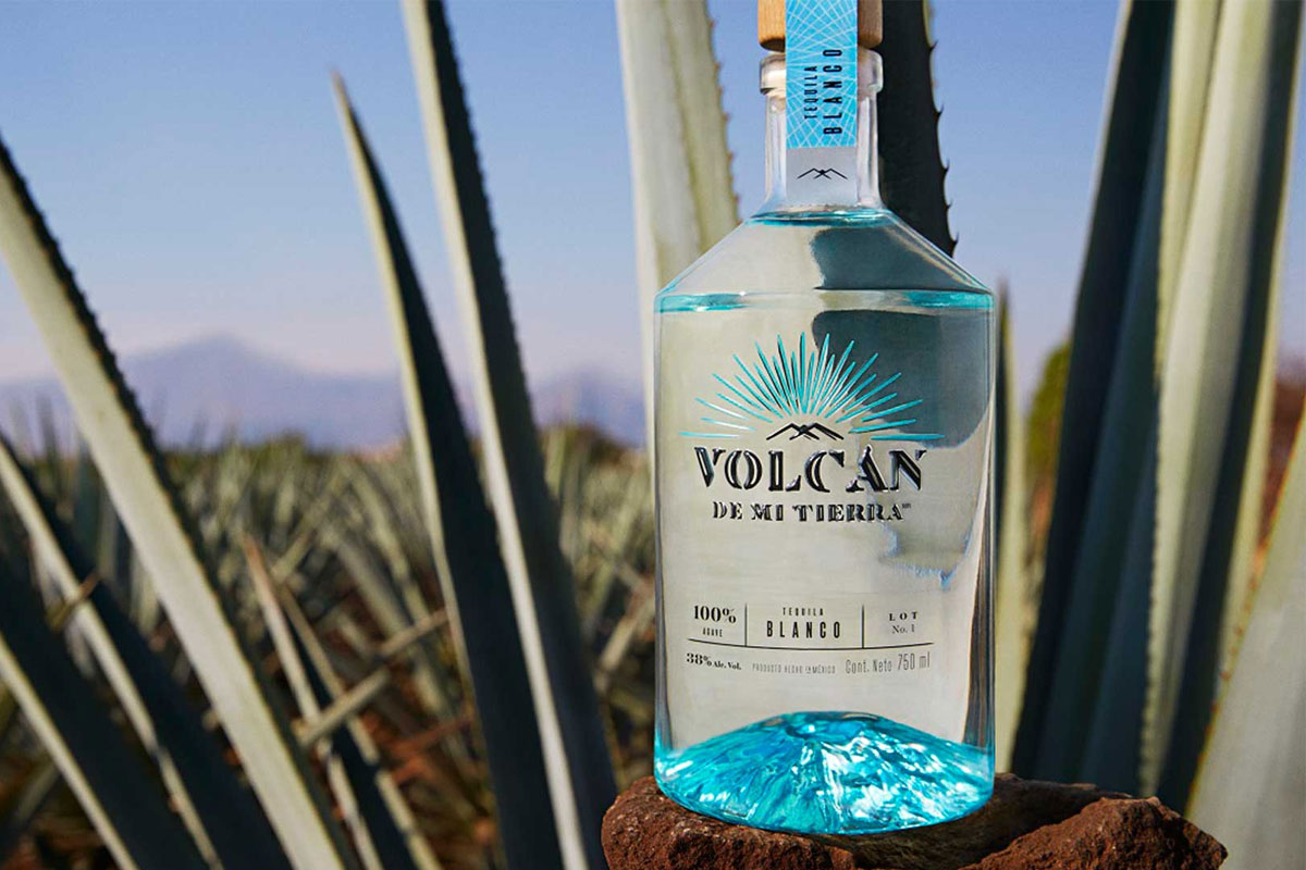 Volcán de Mi Tierra标志设计含义及龙舌兰品牌设计理念