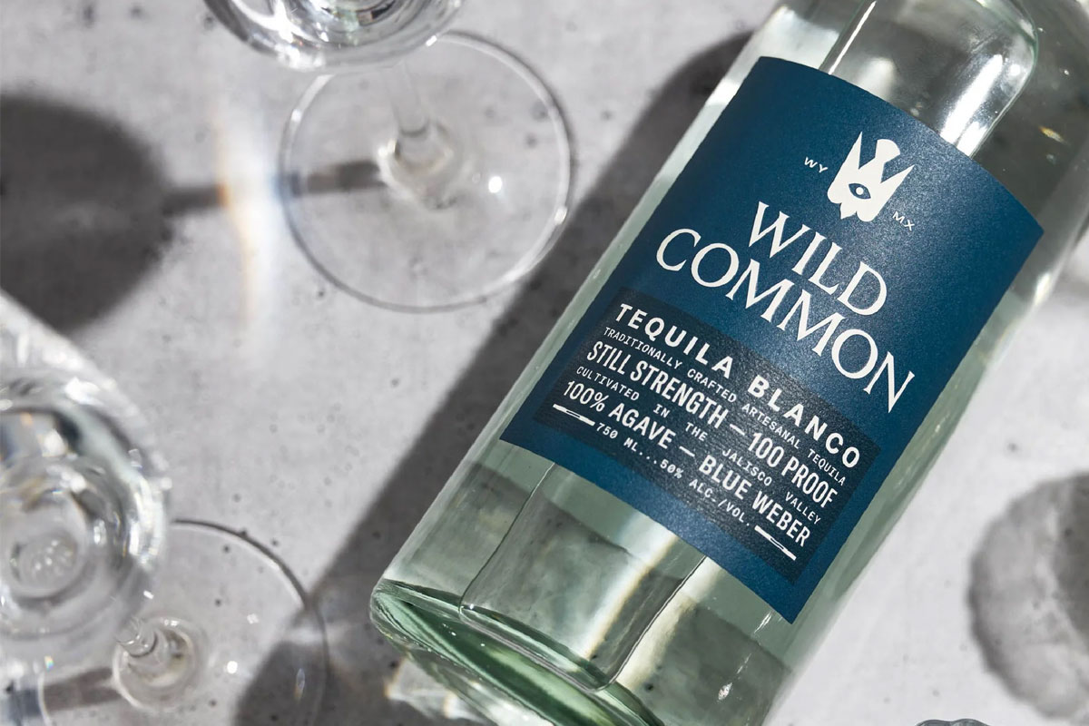 Wild Common标志设计含义及龙舌兰品牌设计理念