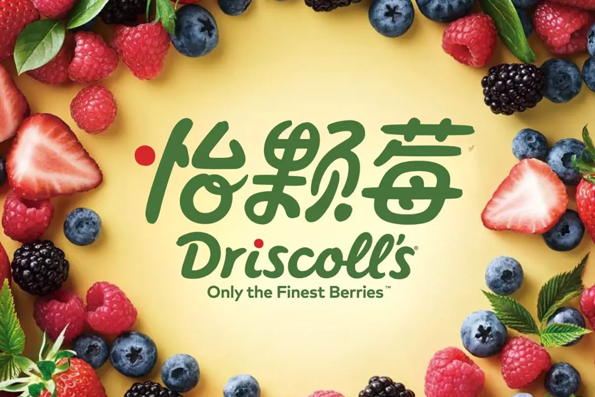 怡颗莓Driscoll's品牌标志logo设计含义及食品农业品牌设计理念
