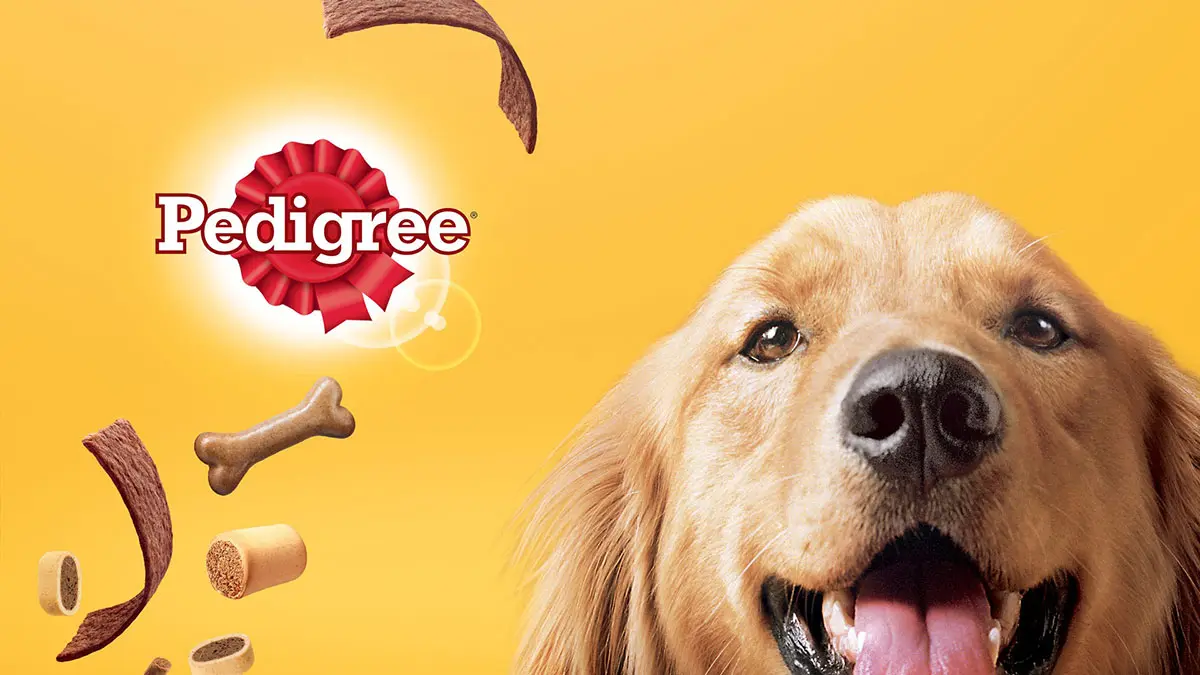 Pedigree英国宝路狗粮logo设计-宠物食品logo设计
