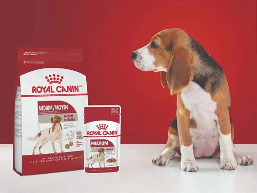 Royal Canin法国皇家狗粮logo设计含义及动物食物品牌设计理念