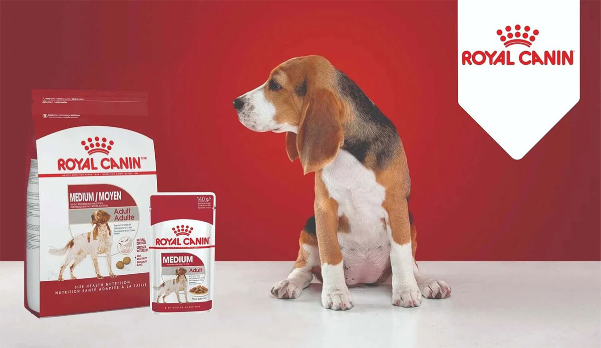 Royal Canin法国皇家狗粮-猫狗食品标志设计