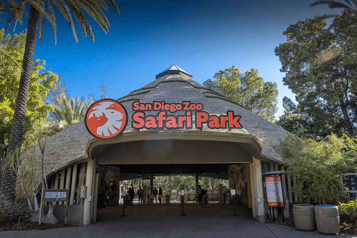 San Diego Zoo美国圣地亚哥动物园logo设计-飞鸟logo设计