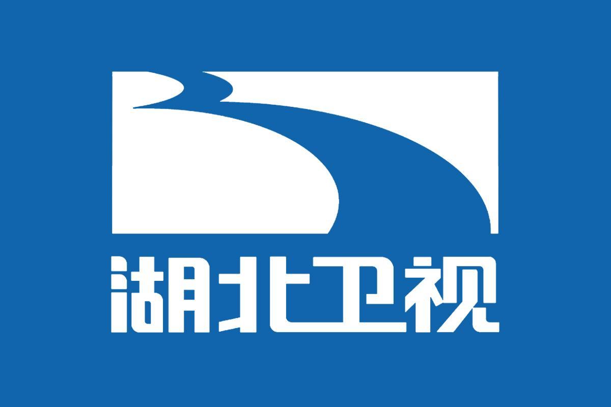 湖北卫视台标志logo图片