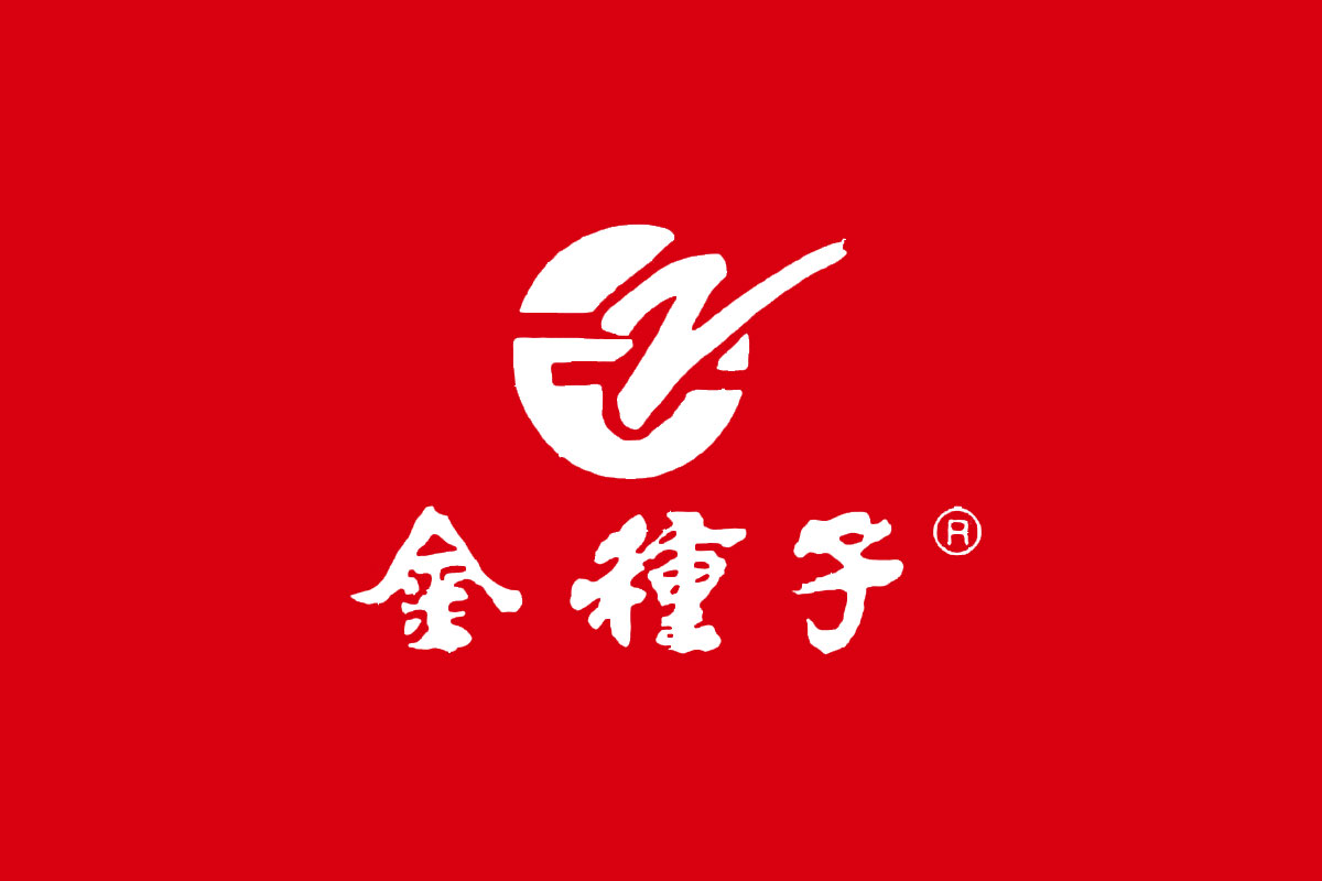 金种子酒标志logo图片