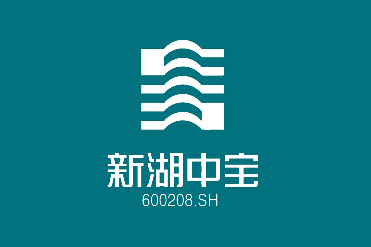 新湖中宝logo图片