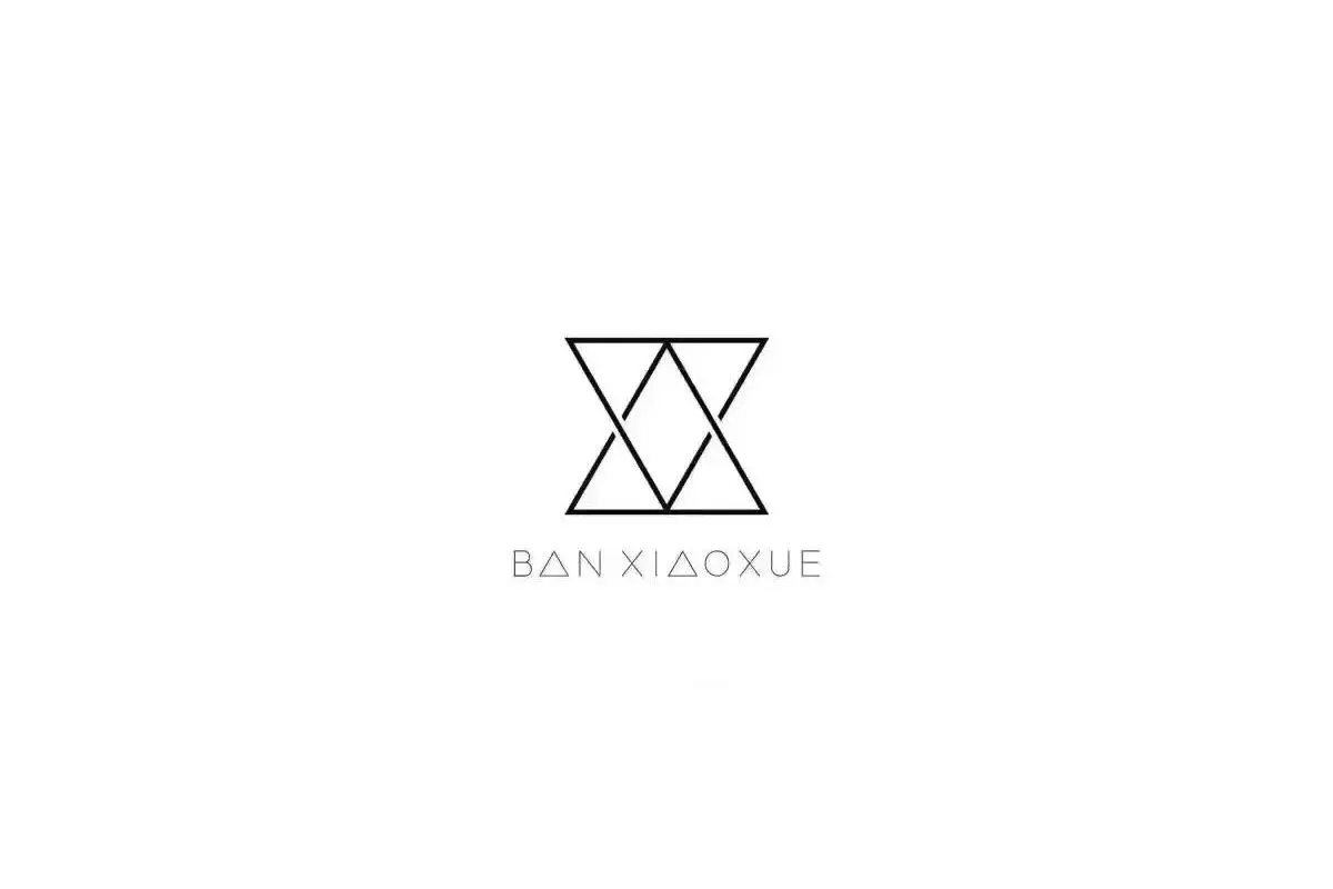 BANXIAOXUE班晓雪女装logo设计-女装logo设计公司