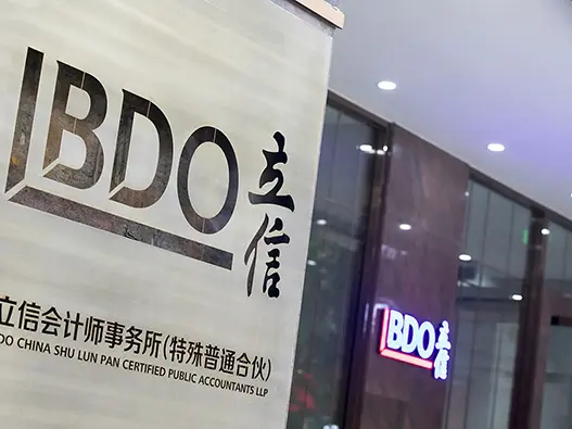 立信会计师事务所logo设计含义及财务咨询公司品牌理念	